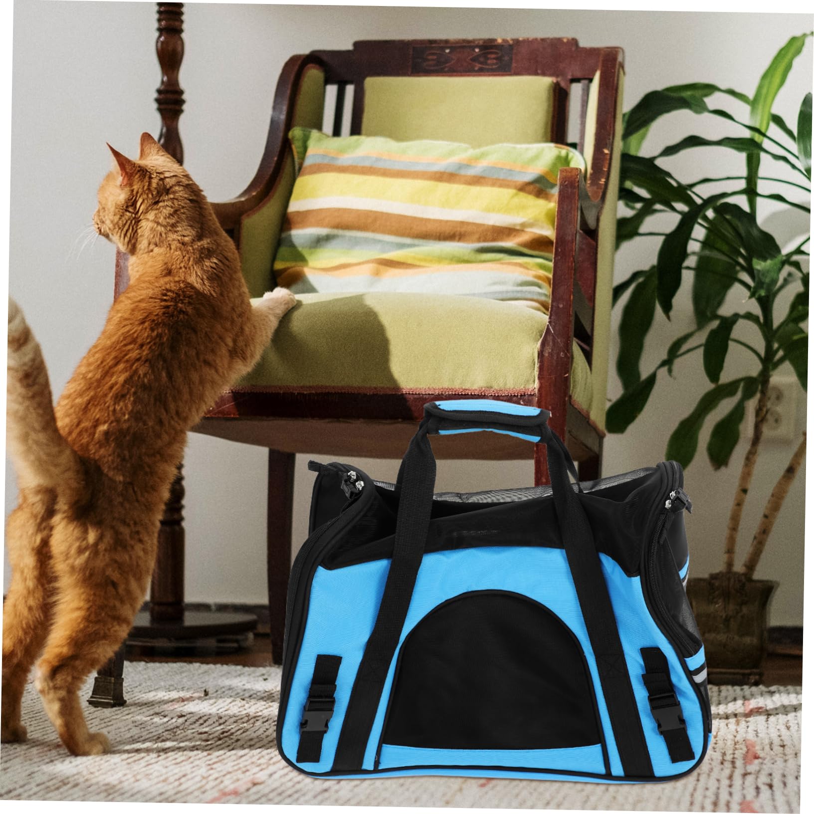 Trasportino Per Animali Domestici Per Esterni Borsa Per Cani E Gatti Sicura E Durevole Design Traspirante Comodo E Resistente