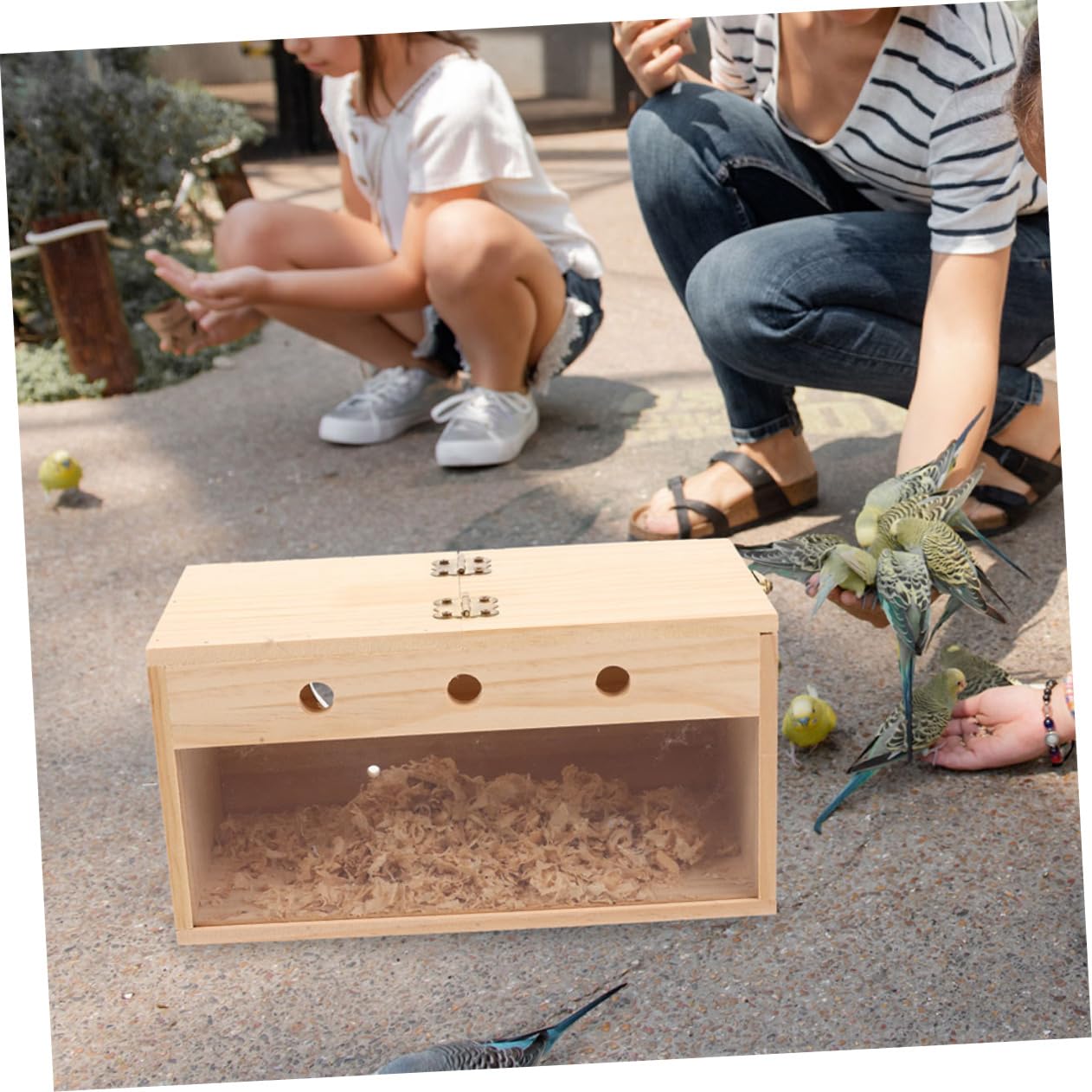Cockatiel Nistkasten Aus Holz Transparente Vogelzuchtbox Für Kleine Vögel Wetterfestes Vogelhaus Für Sittiche Und Lovebirds Langlebiger Nistplatz Für Zucht Und Brutpflege