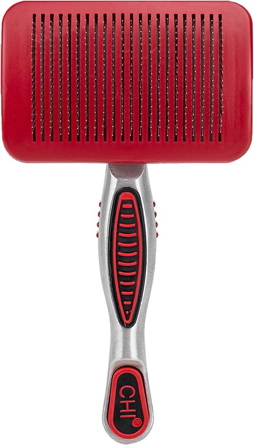 finch breeder near me