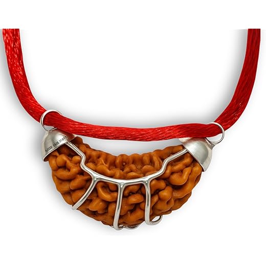 ASTRO CARE One Mukhi Rudraksha Pendant