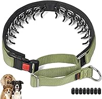 Mayerzon Patented No Pull Martingale Dog Collar - Hidden Links, Adjustable Heavy Duty Nylon for Small Medium Large Dogs, Safe Training for Walking & Hunting (L, Green)