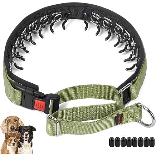 Mayerzon No Pull Dog Collar, Patented Martingale Collar for Small Medium Large Dogs with Buckle and Heavy Duty Nylon for Walking Training Hunting, Safe and Easy to Use(L, Green)