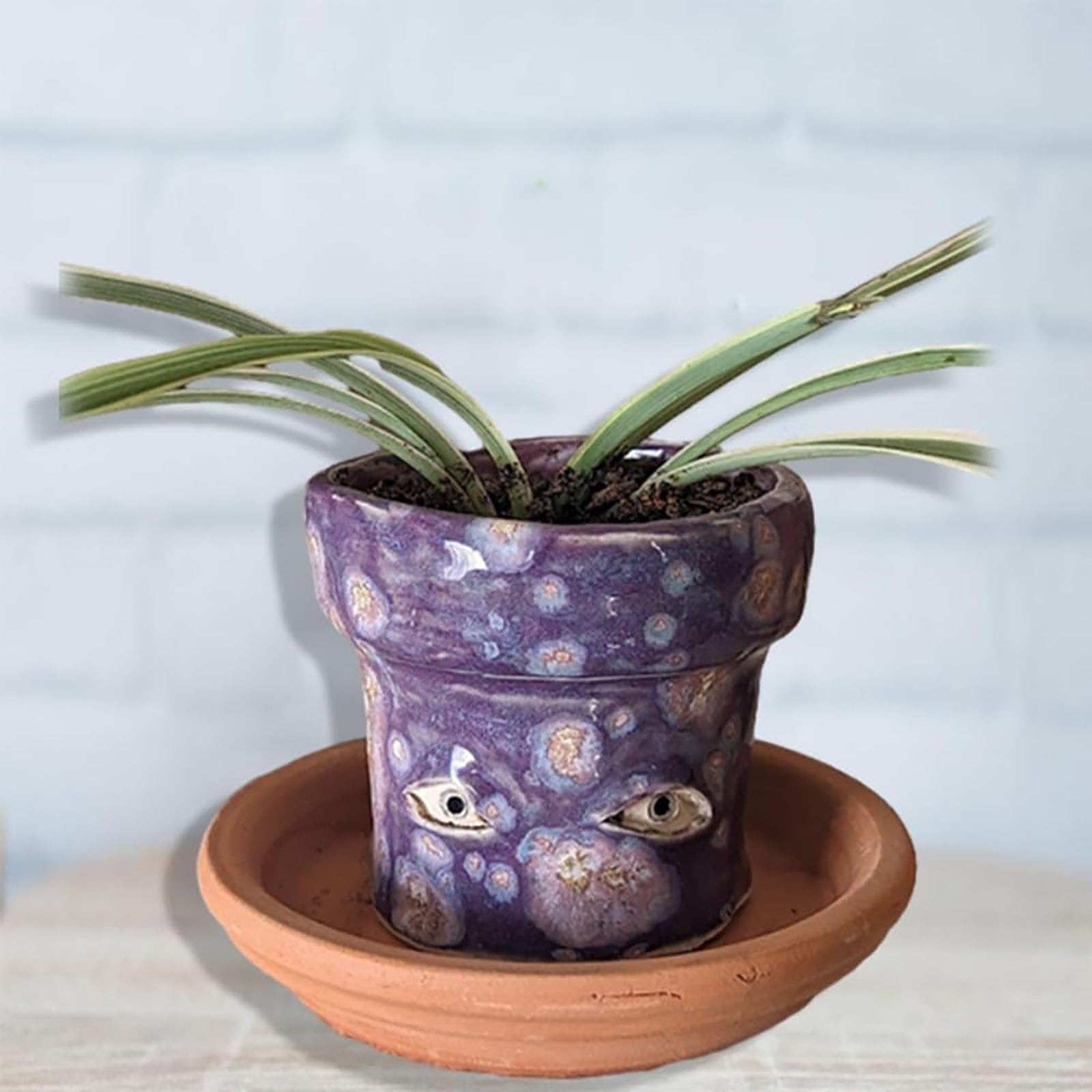 Amazon.co.jp: Zhuaguo ハンドメイド泣く植木鉢、面白い目の植木鉢