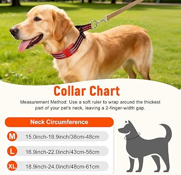 Martingale Dog Choke Collar, Reflective Adjustable Nylon Dog Training Collar, Padded Escape-proof Anti-pull Pet Collars for Narrow Head Canines, No Pull P-Collar for Medium Large Dogs (Red, M)