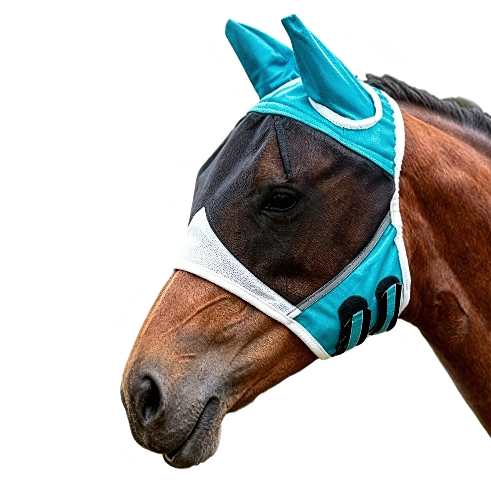 Masque Anti-Mouches pour Chevaux Bleu Protection UV (L)