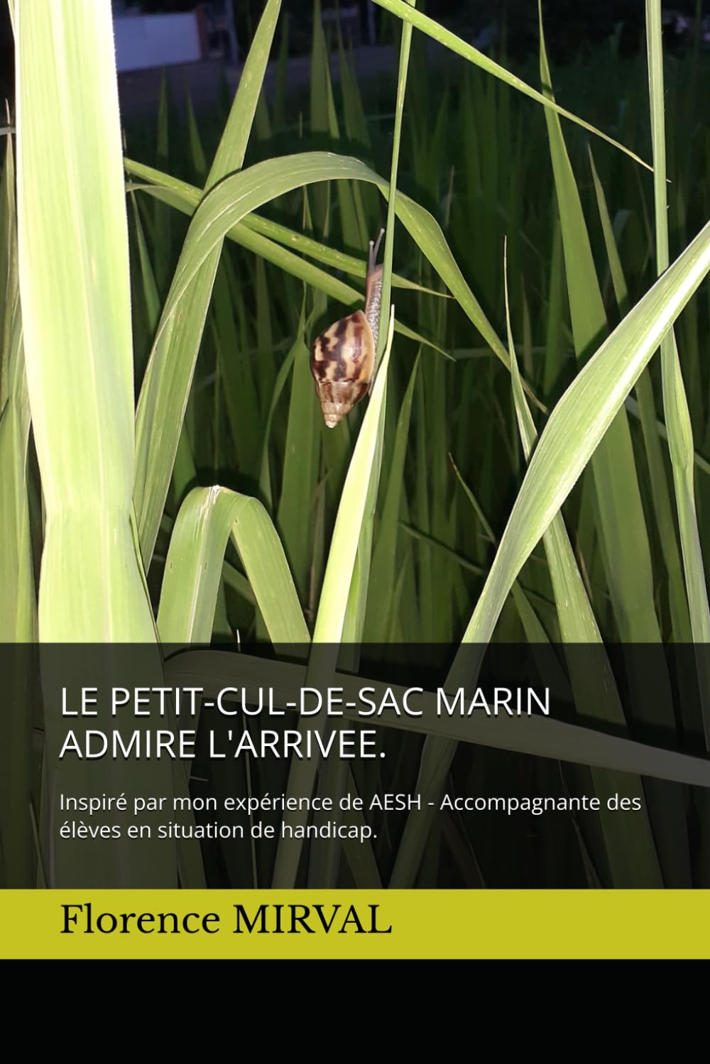 LE PETIT-CUL-DE-SAC MARIN ADMIRE L'ARRIVEE.: Inspiré par mon expérience de AESH - Accompagnante des élèves en situation de handicap.
