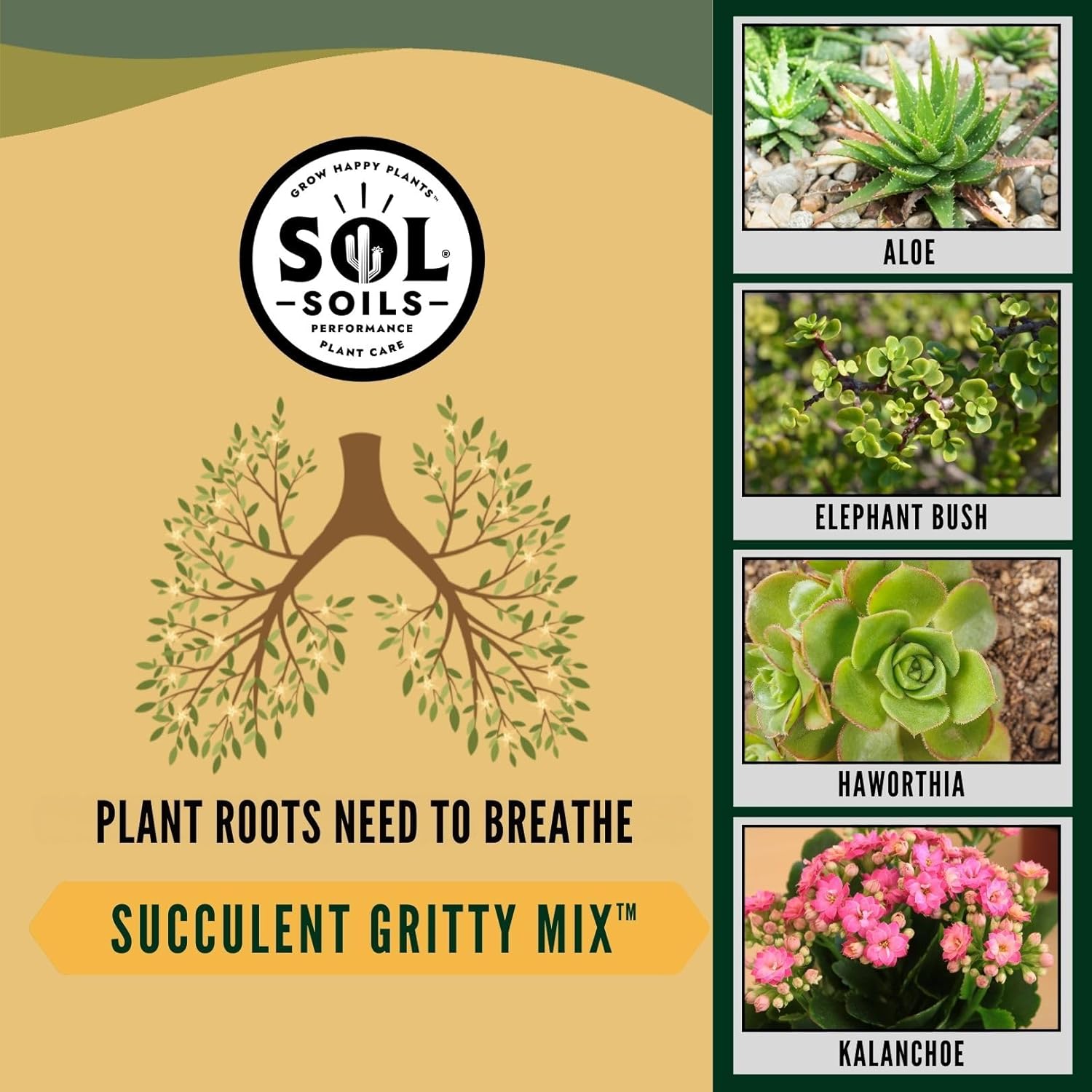 Sol Soils Succulent Gritty Mix - Fast Draining, Peat Moss Free, Perlite - 2 Quarts - Coconut Husk, Pumice