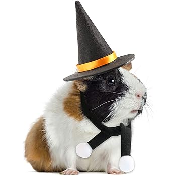 guinea pig outfits amazon