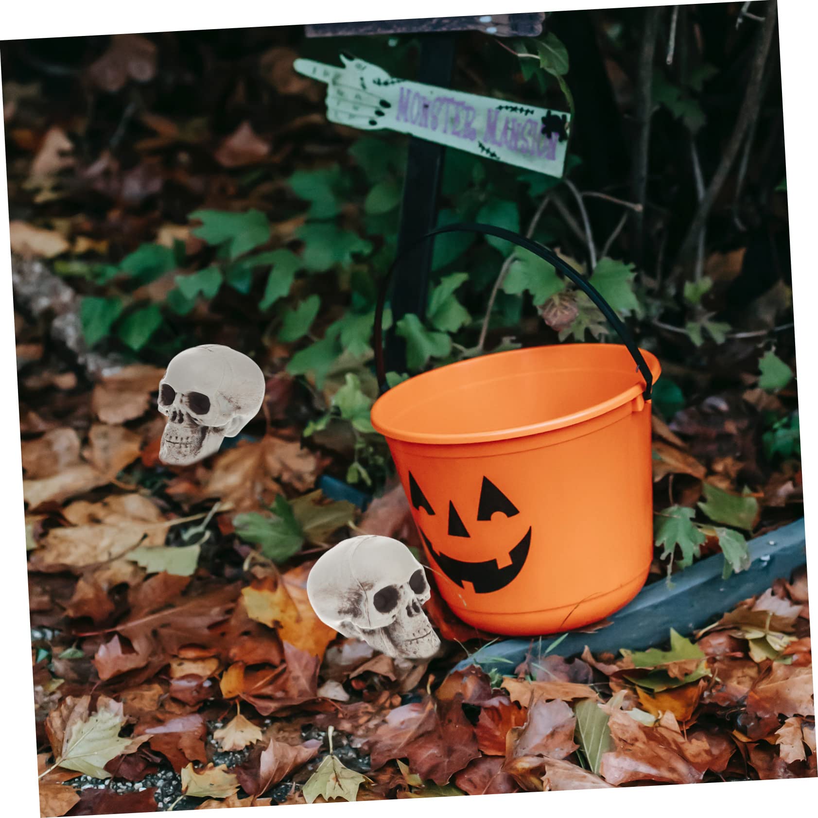TOPBATHY 36 Pz Modello Di Teschio Di Simulazione Decorazioni Della Testa Di Scheletro Teschi Realistici Scheletri Di Halloween Teschi Scheletrici Arredamento Del Cranio Santificare Plastica