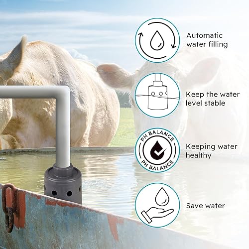 Miniatura 3 de Válvula de flotador de 1 pulgada, llenado automático de agua, mantenimiento de un nivel de agua constante | Válvula de cierre automático de agua |