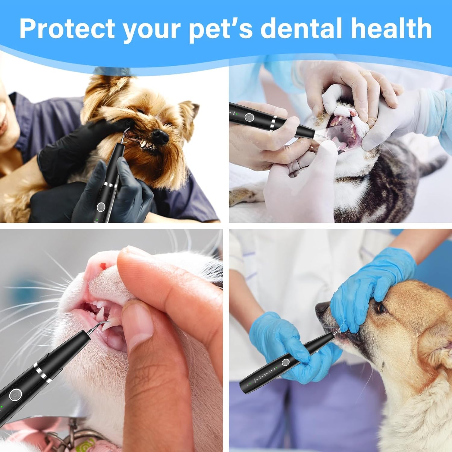 Kit de Nettoyage des Dents de Chien, Tartre Dentaire Nettoyage, Soins Dentaires pour Animaux de Compagnie, Brosses à Dents pour Chiens et Chats