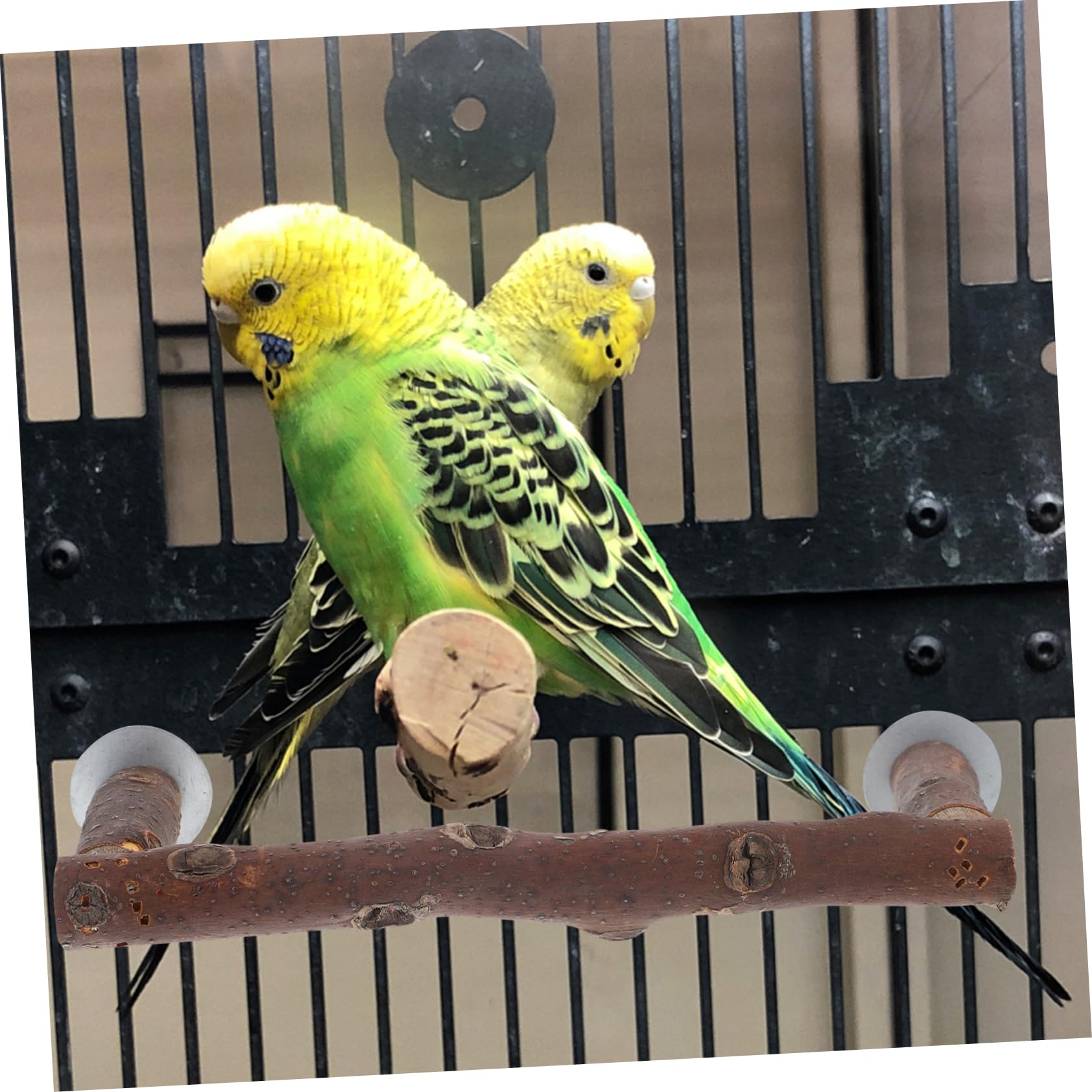 Happyyami 4stücke Vogel Perch Stand Für Papageien Stabiler Und Sicherer Für Nymphensittiche Und Wellensittiche Geeignet Für Große Vogelkäfige Mit Natürlicher Holzstruktur Langlebig