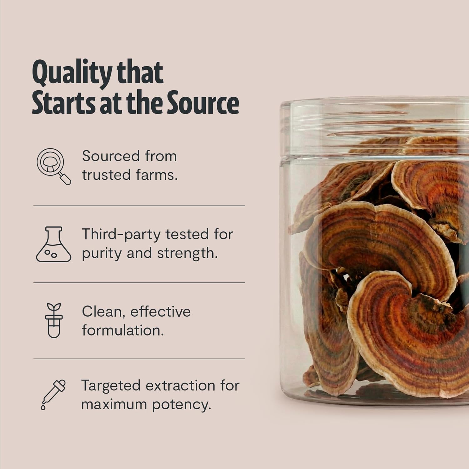 FreshCap Organic Mushroom Powder Supplement - Fruiting Body Extract (Turkey Tail, 60 Servings)