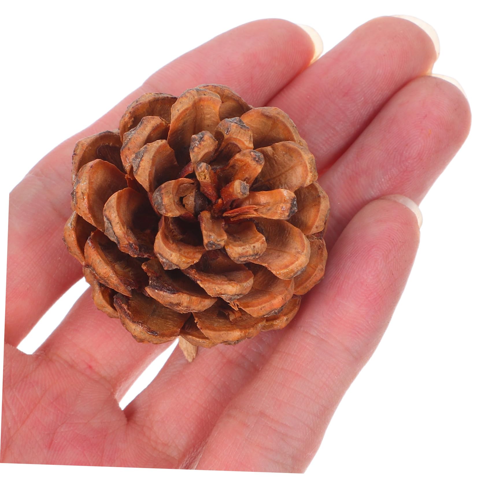 Garneck 130stücke Mini-kiefernzapfen aus Naturholz Mini-kiefernzapfen-Ornamente für Winter und Weihnachtsbasteleien Natürliche Tannenzapfen als Vasenfüller für DIY-Dekorationen