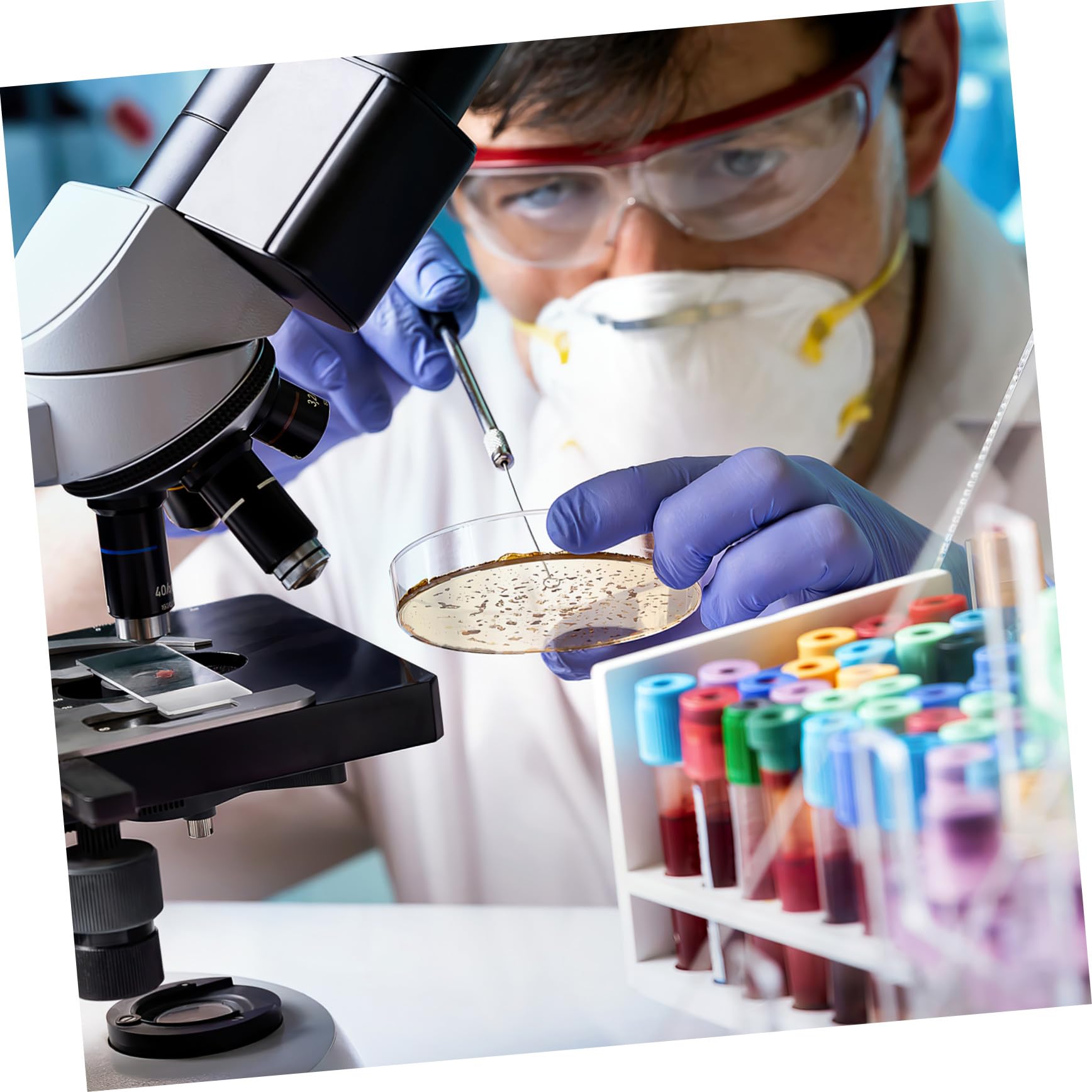 Placa de Petri Pre-vertida 7cm con Agar Nutritivo, 10 Piezas | Placas de Petri con Agar, Placas de Agar para Laboratorio, Decoracion Colegio