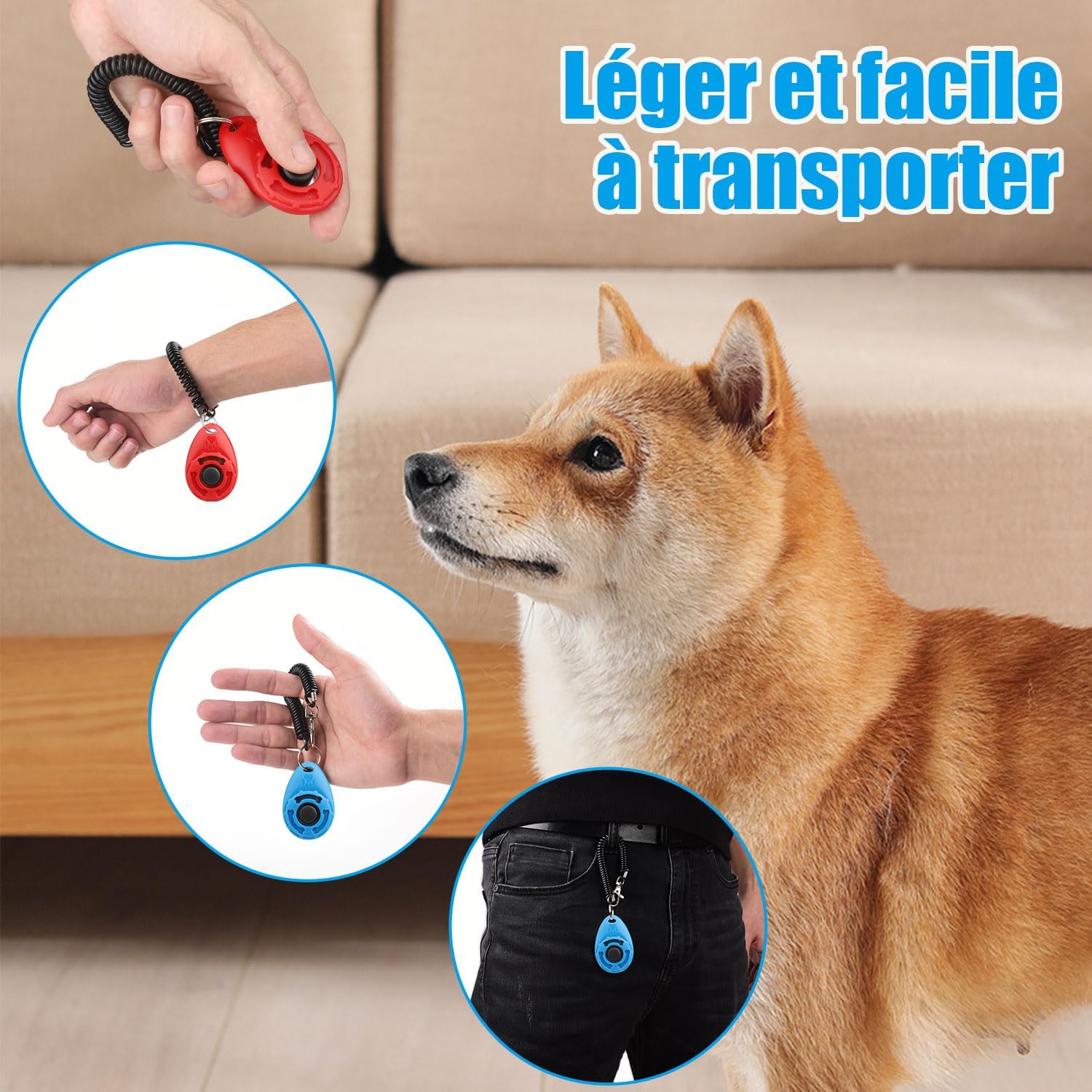 Guide et astuces pour entraîner votre animal avec Diyife Clickers