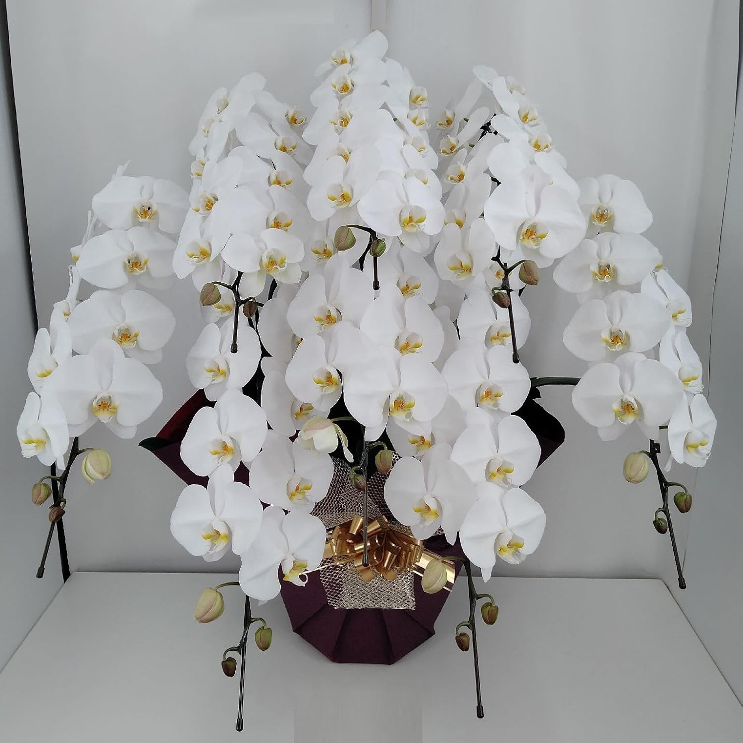 仏花 お供え花 初盆 法事 カトレア 百合 アレンジ 仏花 お供え花 初盆