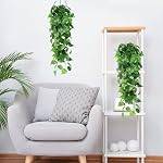 2Pcs Plantes de suspension artificielles 3.6ft Faux Ivy Vines Scindapsus feuilles Vin Greenery Plantes suspendues pour la maison Jardin Fête de mariage Décorations murales en plein air (Scindrapsus Feuilles)