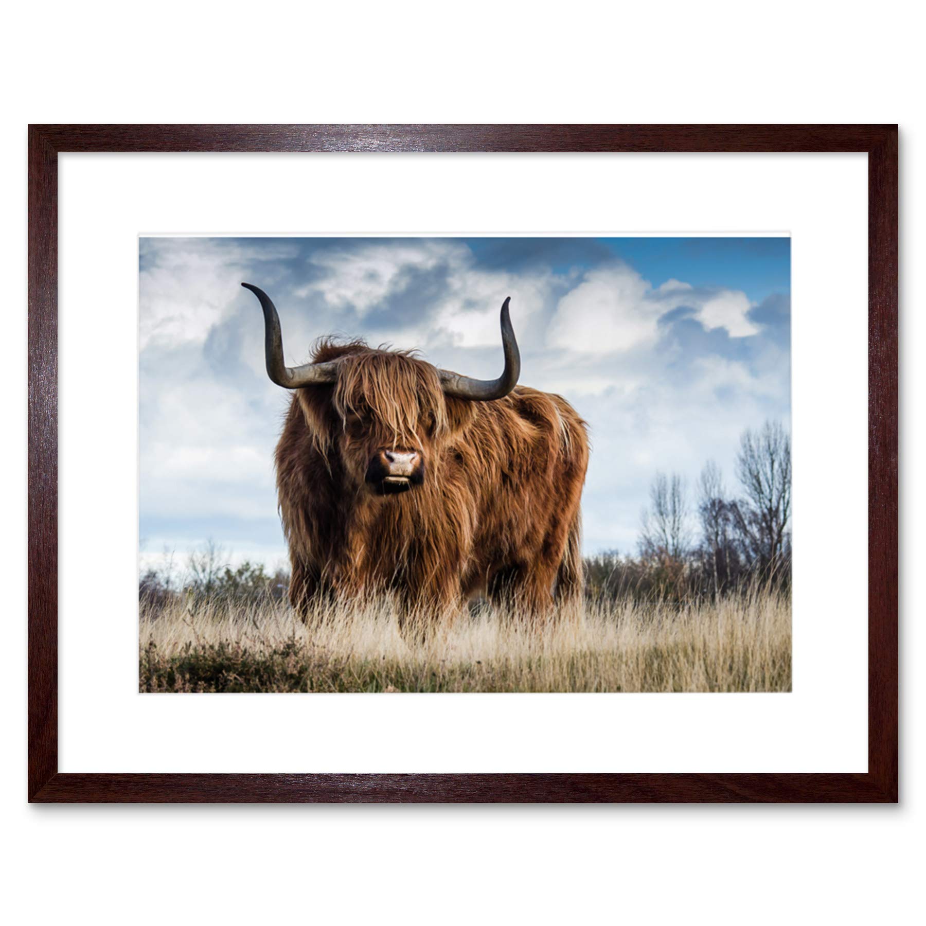 Scottish Highland Cow/Coo Framed Wall Art Print