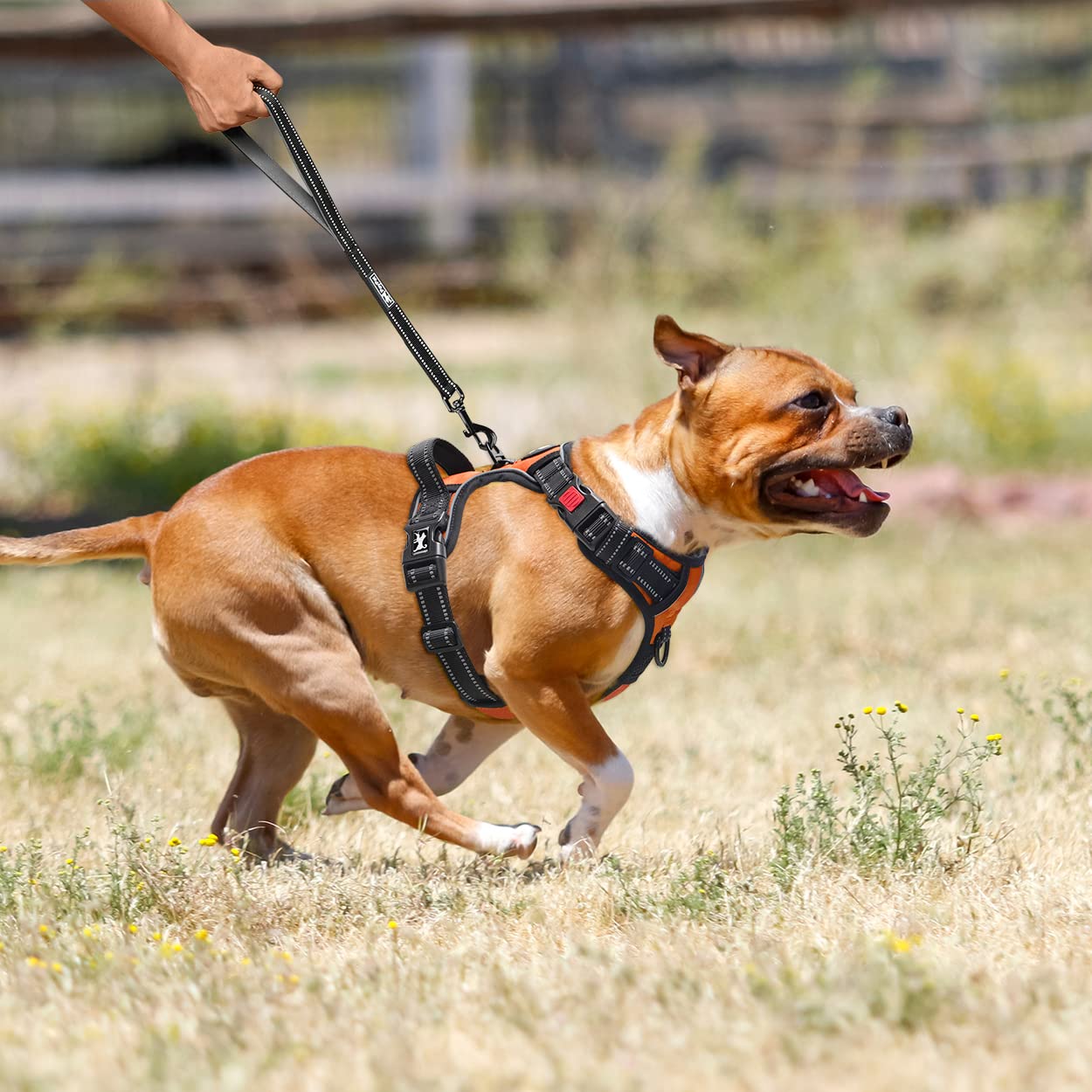 PoyPet Imbracatura per cani anti-trazione anteriore riflettente gilet per animali domestici per cani con facile controllo, impugnatura e retro perfetta per l'allenamento quotidiano, camminata, corsa