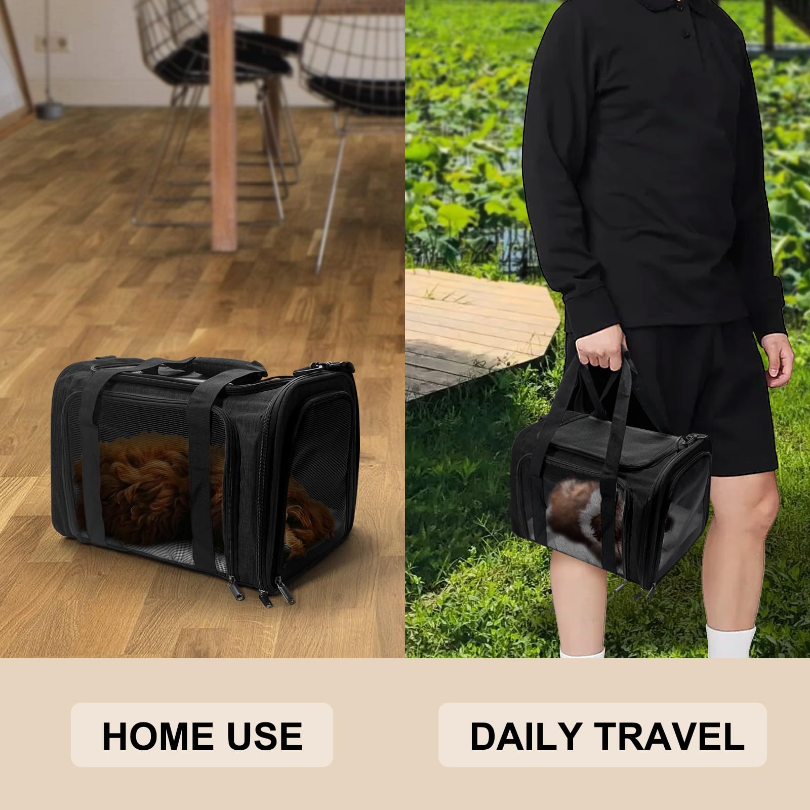 Transportbox für kleine und mittelgroße Katzen bis zu 11,3 kg