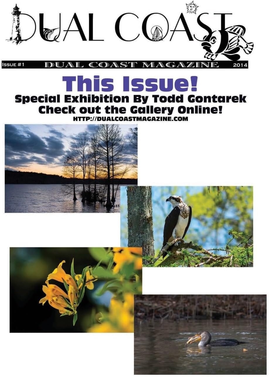 Dual Coast Magazine: 1