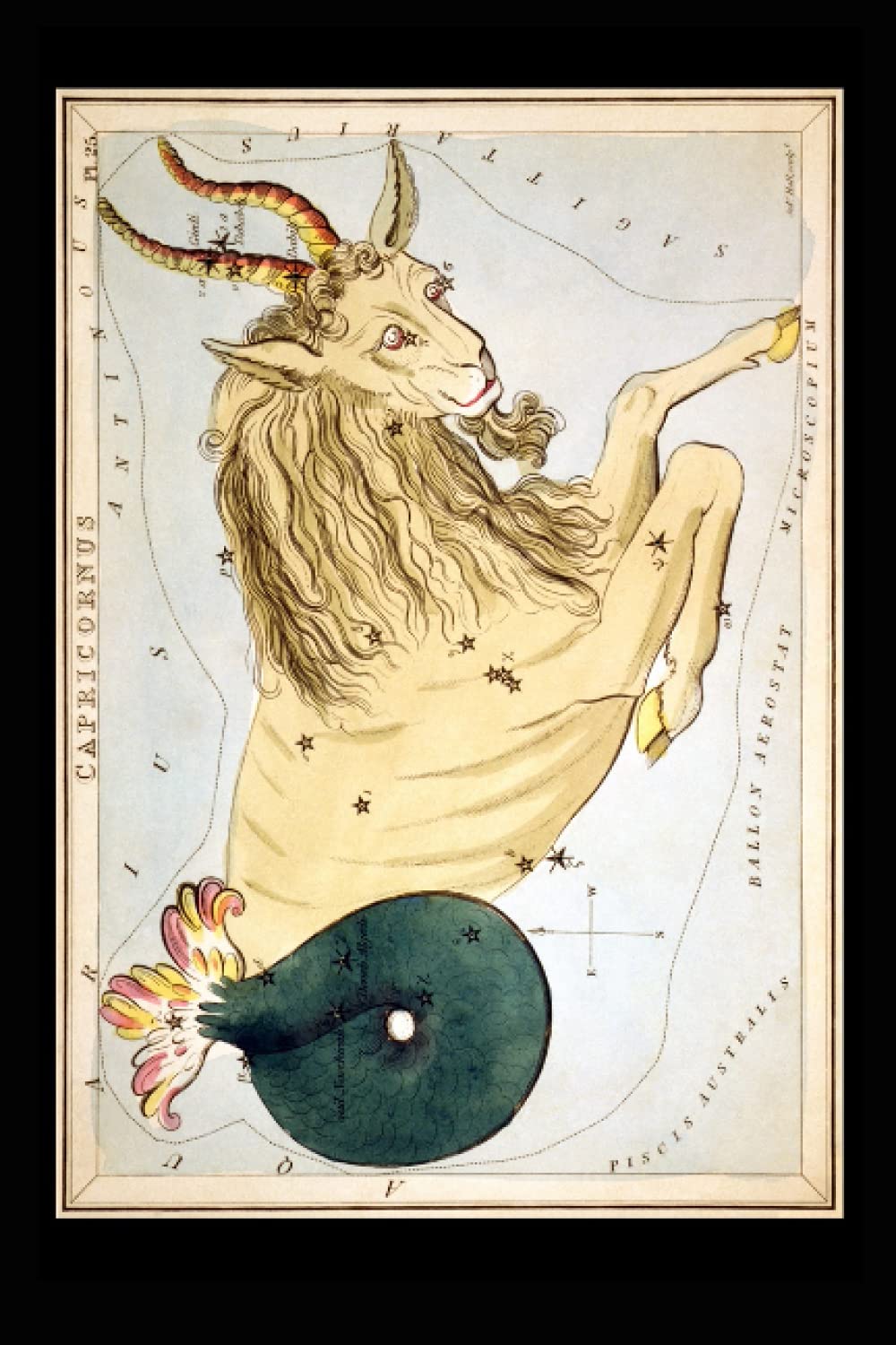 CAPRICORN: Vintage Zodiac Journal: 6x9 Journal, Diary, Notebook