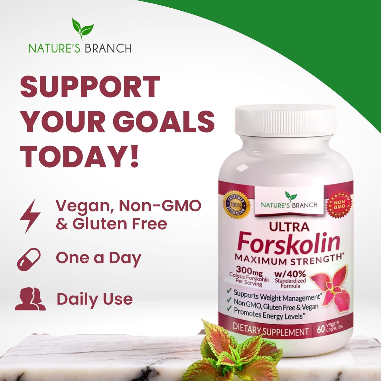 Ultra Forskolin for Weight Support - Maximum Strength, Coleus Forskohlii Root Powder Extract for Men & Women, Lean Supplement w/ 40% Standardized - Extra Strength Energy Boost Complex - 60 Capsules - Image 6