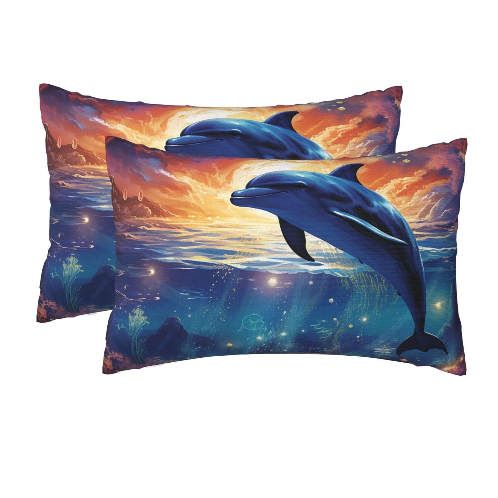 2 Pack Queen Size Pillow Cases for Hair and Skin Soft Breathable Pillow Case Covers with Hidden Zipper Colorful Starry Sky Ocean Dolphin Pillowcase 20x30 Inches Pillow Cover for Sleeping Gift