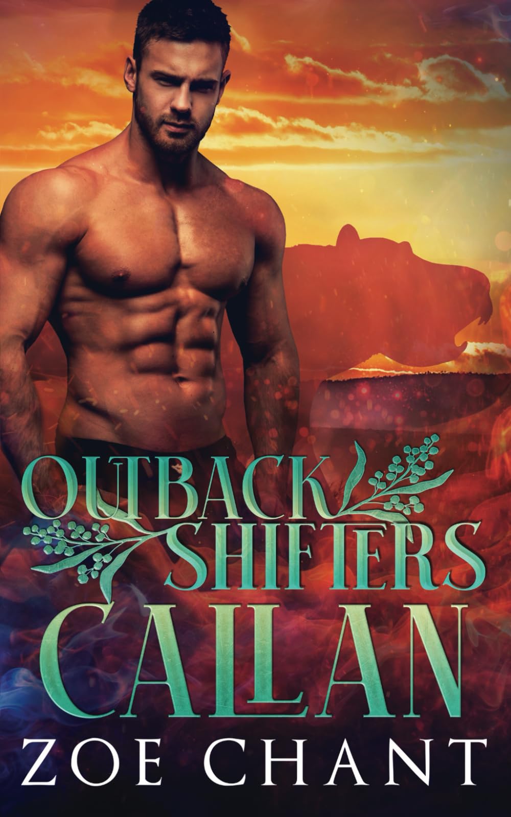 Callan (Outback Shifters)