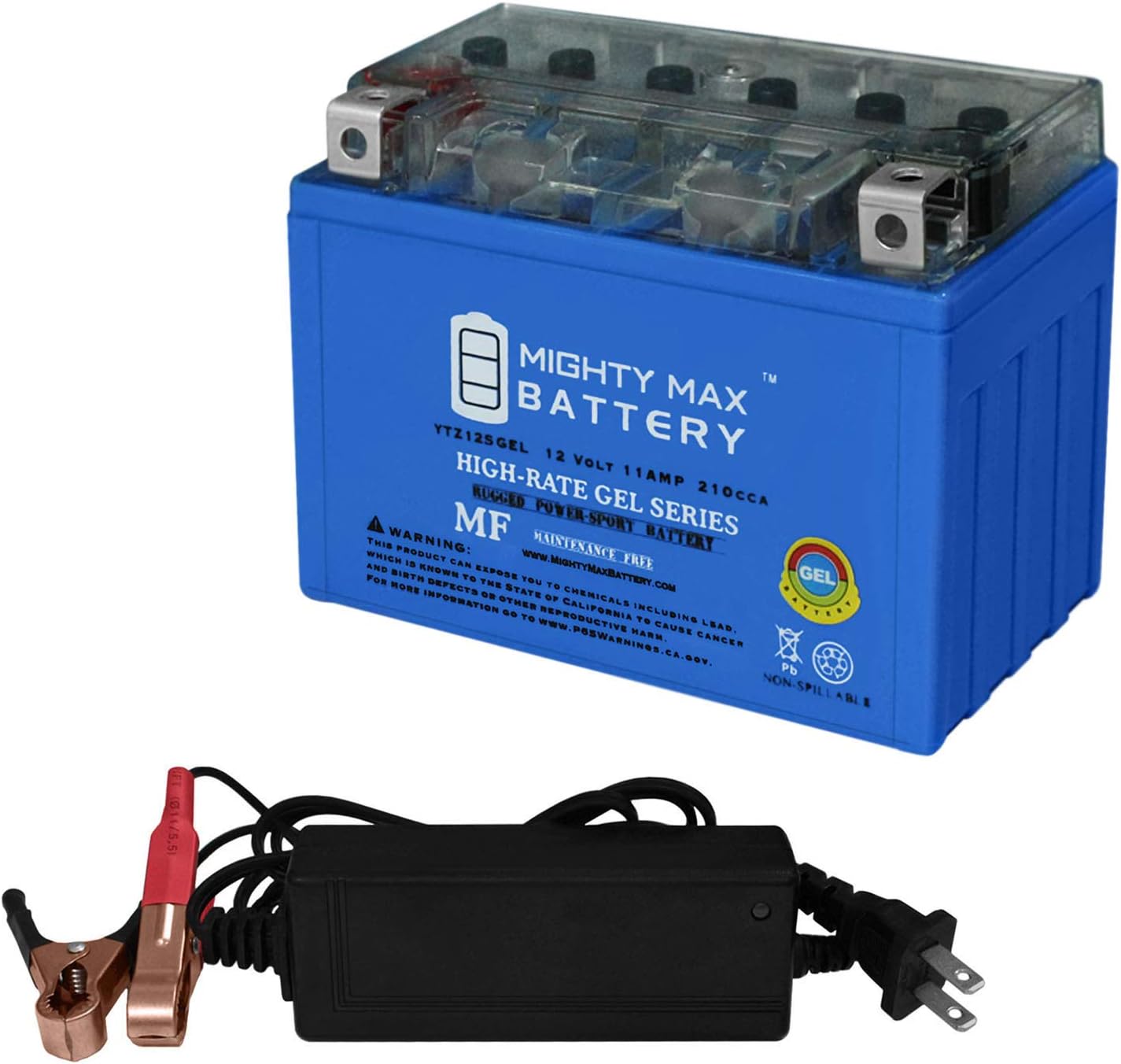 YTZ12S GEL Replacement Battery for Genuine SkyRich YTZ12S + 12V 2Amp Charger