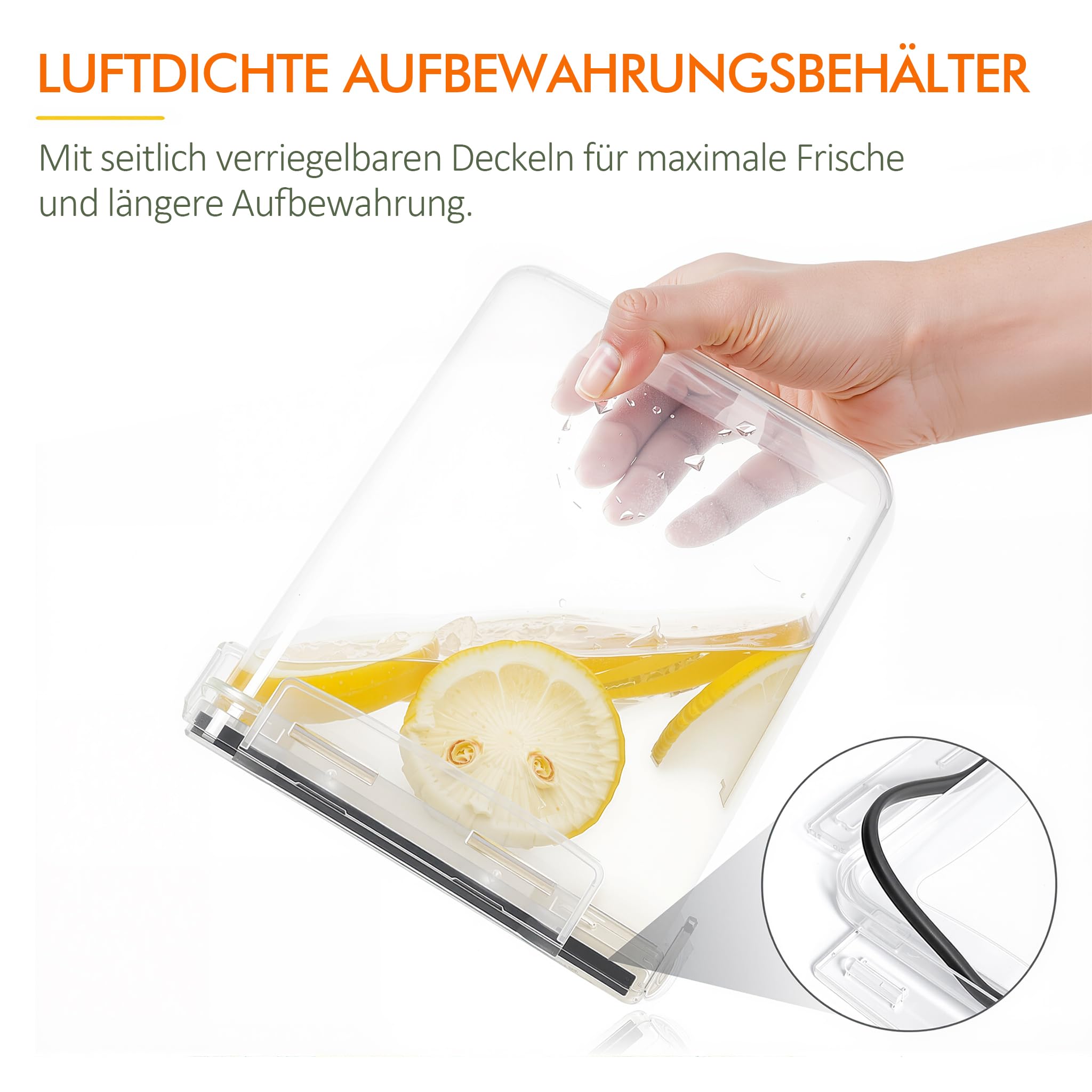 Theo&Cleo Vorratsdosen Mit Deckel Luftdicht (4 Größen), 24er Set Organizer Box, BPA-frei Aufbewahrungsbox Küche, Frischhaltedosen für Mehl, Müsli, Cornflakes, Vorratsbehälter Mit Etikett (24)