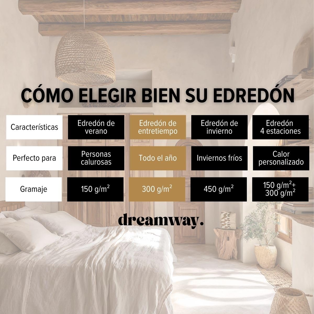 DREAMWAY - Edredón de 200 x 220 cm, 4 Estaciones, 2 Piezas, Incluye edredón para Todo el año, 200 x 220 cm, 300 gsm, edredón de Verano de 200 x220 cm, 150 gsm, 2 edredones con Botones, para Cuatro