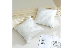 Dorrin Nessin: Premium 18x18 Feather Pillow Insert Comfort