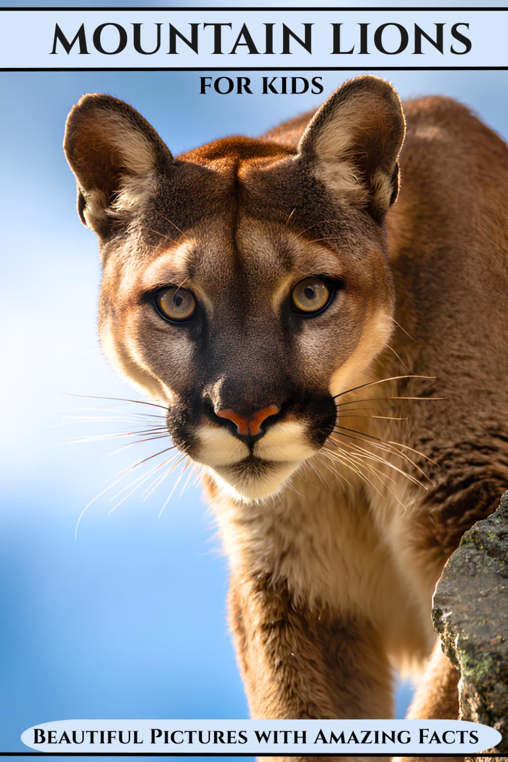 Mountain Lions for Kids: Beautiful Pictures with Amazing Facts