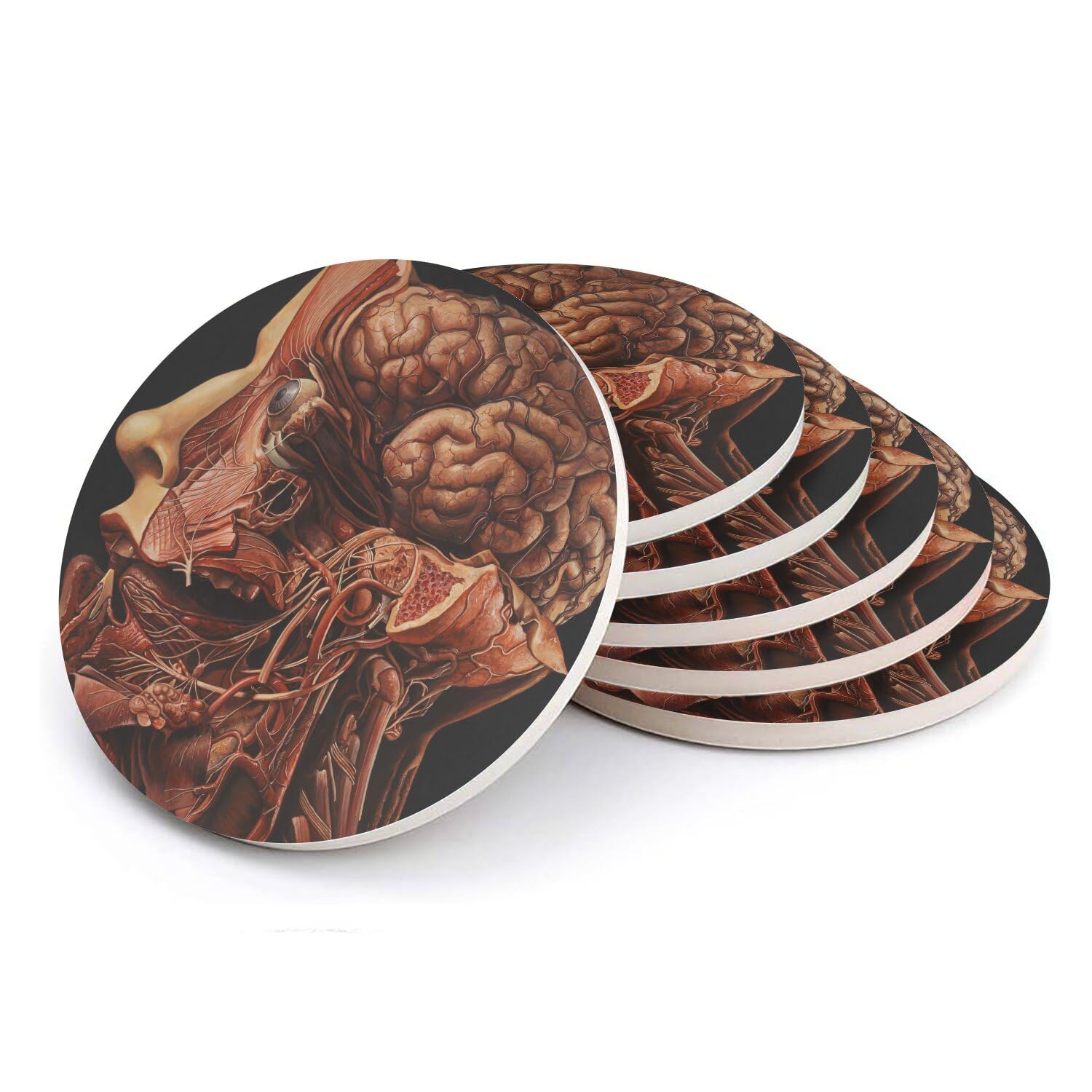 Sous-verres ronds en céramique tête humaine au design gravure médicale d'exception