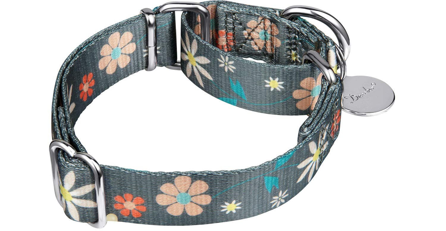 Martingal Halsband Für Hunde – Verstellbar 43-60 Cm, 2,5 Cm Breit, Aus Nylon Mit Metallringen, Für Große/kleine Hunde (Groß, Schwarz)