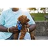 Product Photo 8