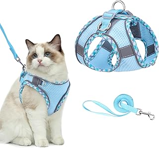 Brifit Katzengeschirr mit Leine Ausbruchsicher, Softgeschirr für Katzen mit Reflektierenden Streifen, Verstellbar Katzenweste, Cat Harness für Katzen Puppy [Blau, XS] Anwendbares Gewicht: 3-5 Kg product image