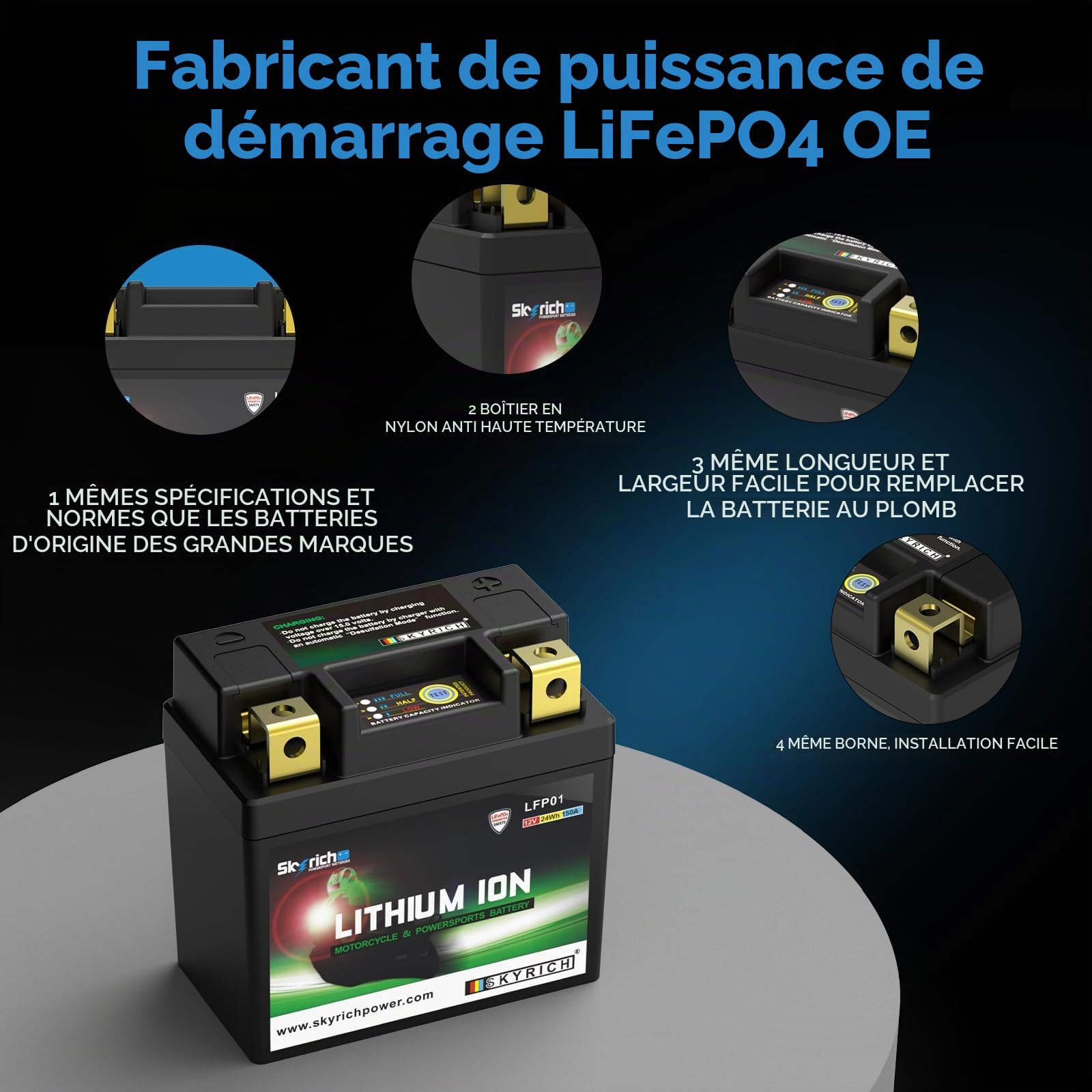 Batterie Skyrich Lithium LFP01