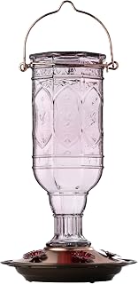 More Birds Alimentador de beija-flor de joia ametista, alimentador de vidro para beija-flor para ambientes externos, 5 estações de alimentação, 590 ml