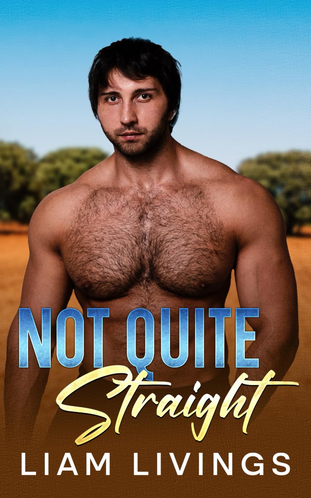 Not Quite Straight: A bisexual awakening, forced proximity, opposites attract mm romance
