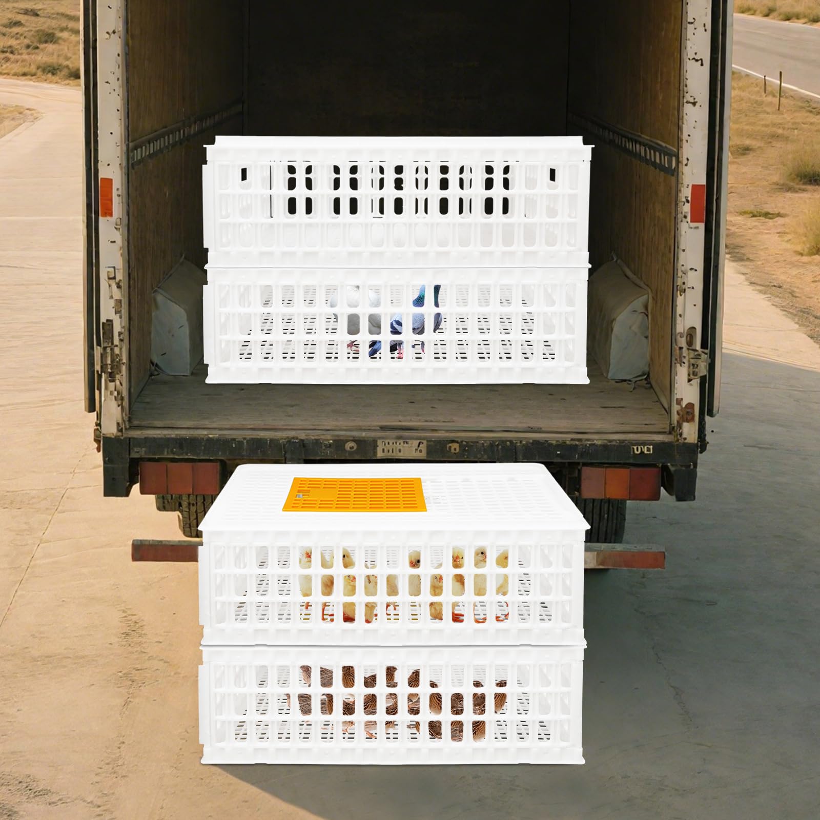 Lot de 4 caisses de transport pour volaille 77 x 55,5 x 27 cm - Avec porte coulissante et poignées de transport - Capacité de charge de 200 kg - Extra robuste - Pour volaille, poulet, canard, oie