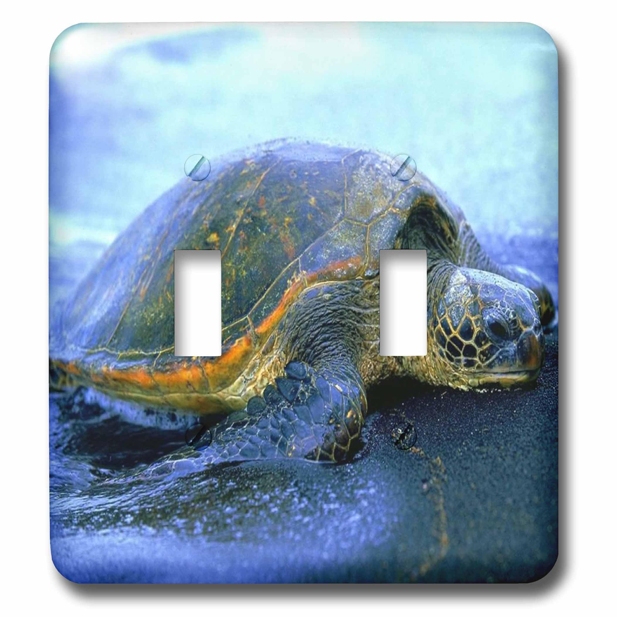 Interrupteur à bascule double tortue de mer plaque murale décorative 3dRose