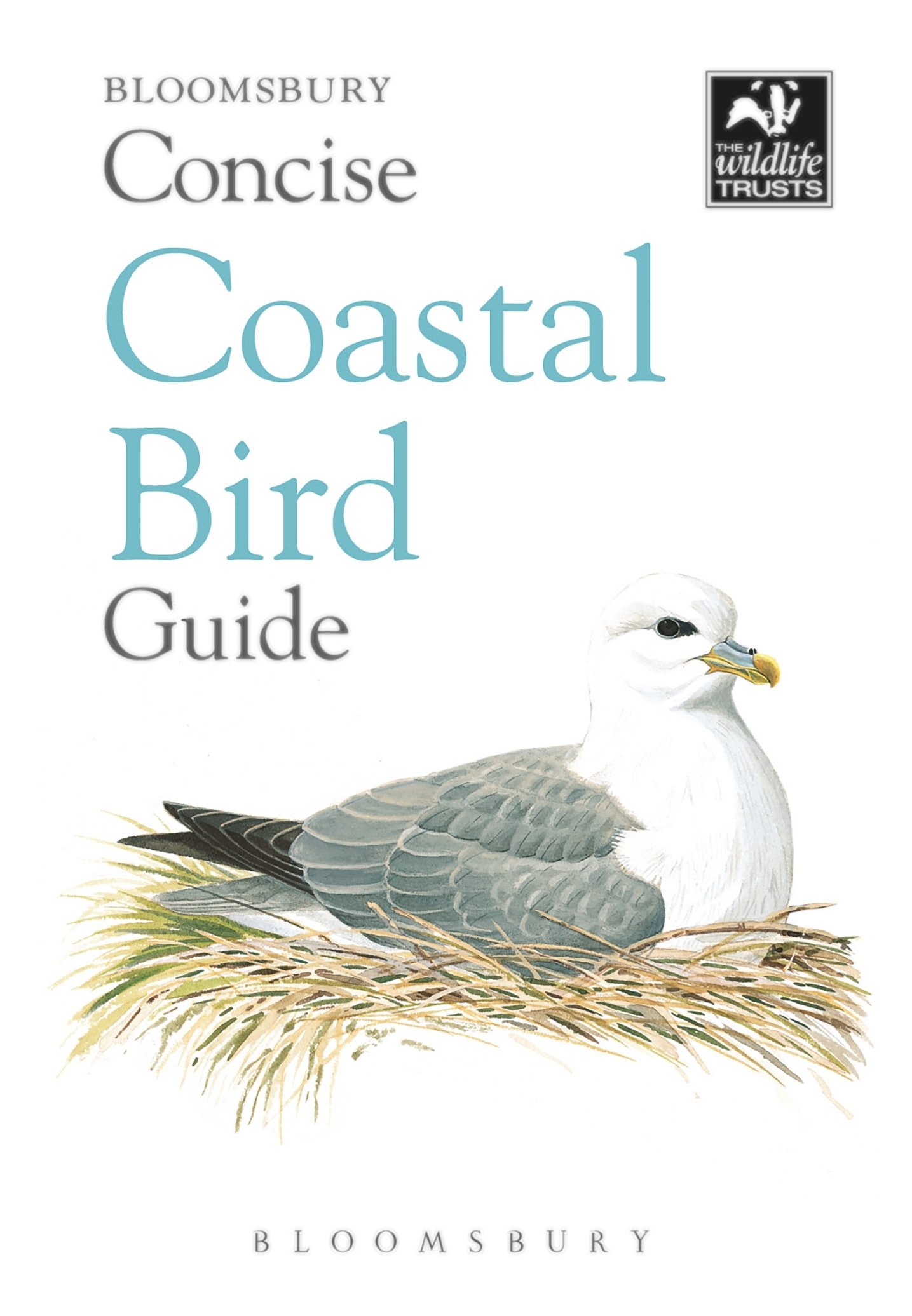 Concise Coastal Bird Guide (Concise Guides)