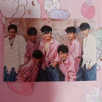 光GENJI 写真集ほか グッズ まとめ売り パスケース フォト m734 光GENJI 写真集ほか グッズ まとめ売り パスケース フォト m734