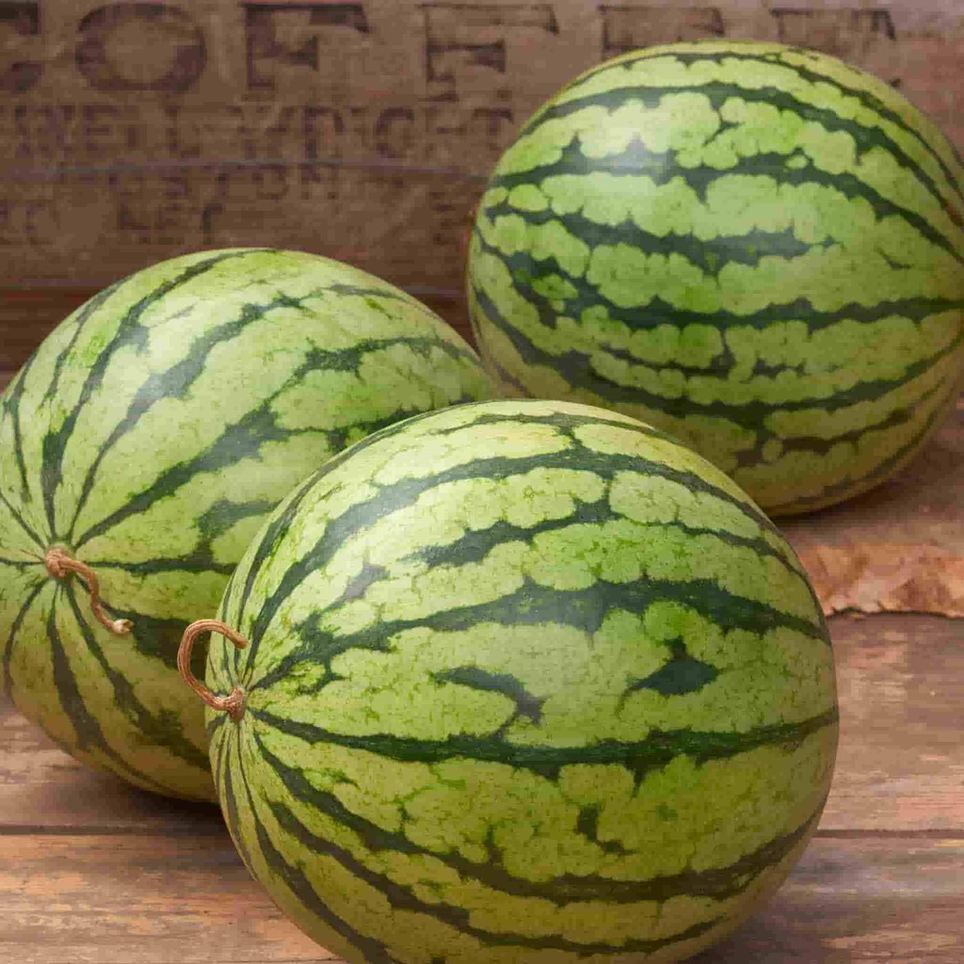 Creative Farmer Vegetable Seeds Sugar Baby Watermelon Seeds - Water Melon Green Round Seeds Home Garden Seeds (B07N481PZJ) Amazon Price History, Amazon Price Tracker