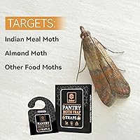 Vista 4 de GIDEAL Trampa para polillas de despensa con feromonas Prime para casa, cocina, armario de alimentos, paquete de 6 (polilla de grano)