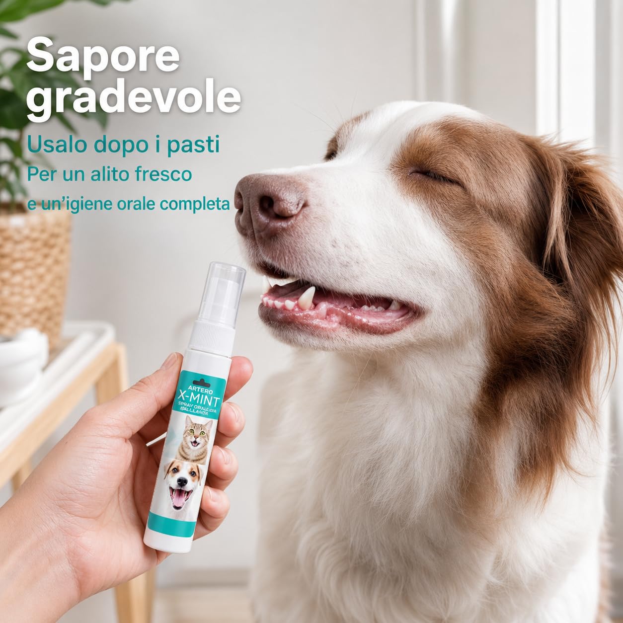 ARTERO X-Mint Spray per l'Alito Cane Gatto Igiene Orale