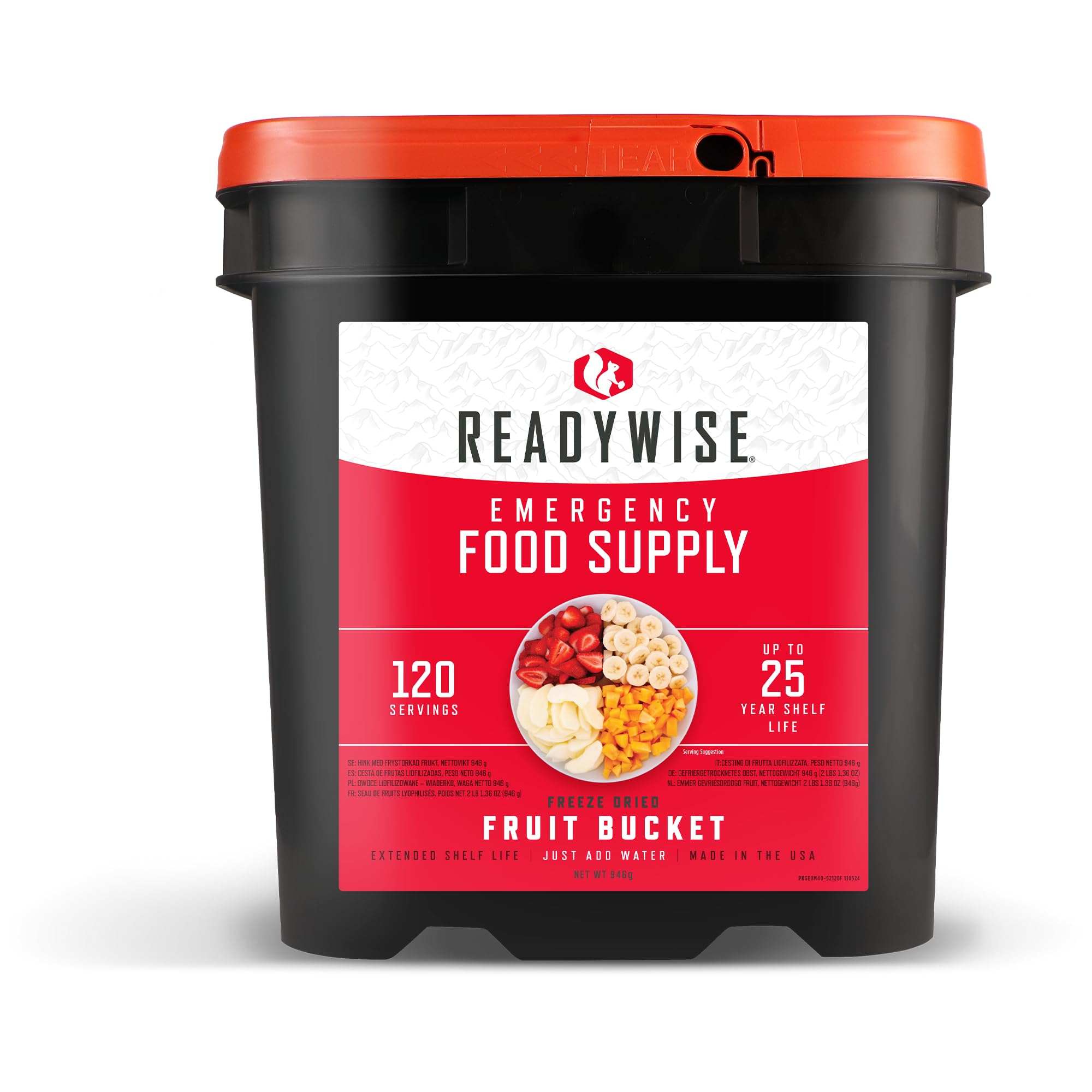 ReadyWise, 120 Servings, Fruit Bucket, Freeze Dried, Banana, Strawberry, Apple, Blueberry/Peach Up To 25 Years Shelf Life, Emergency Food — image 1